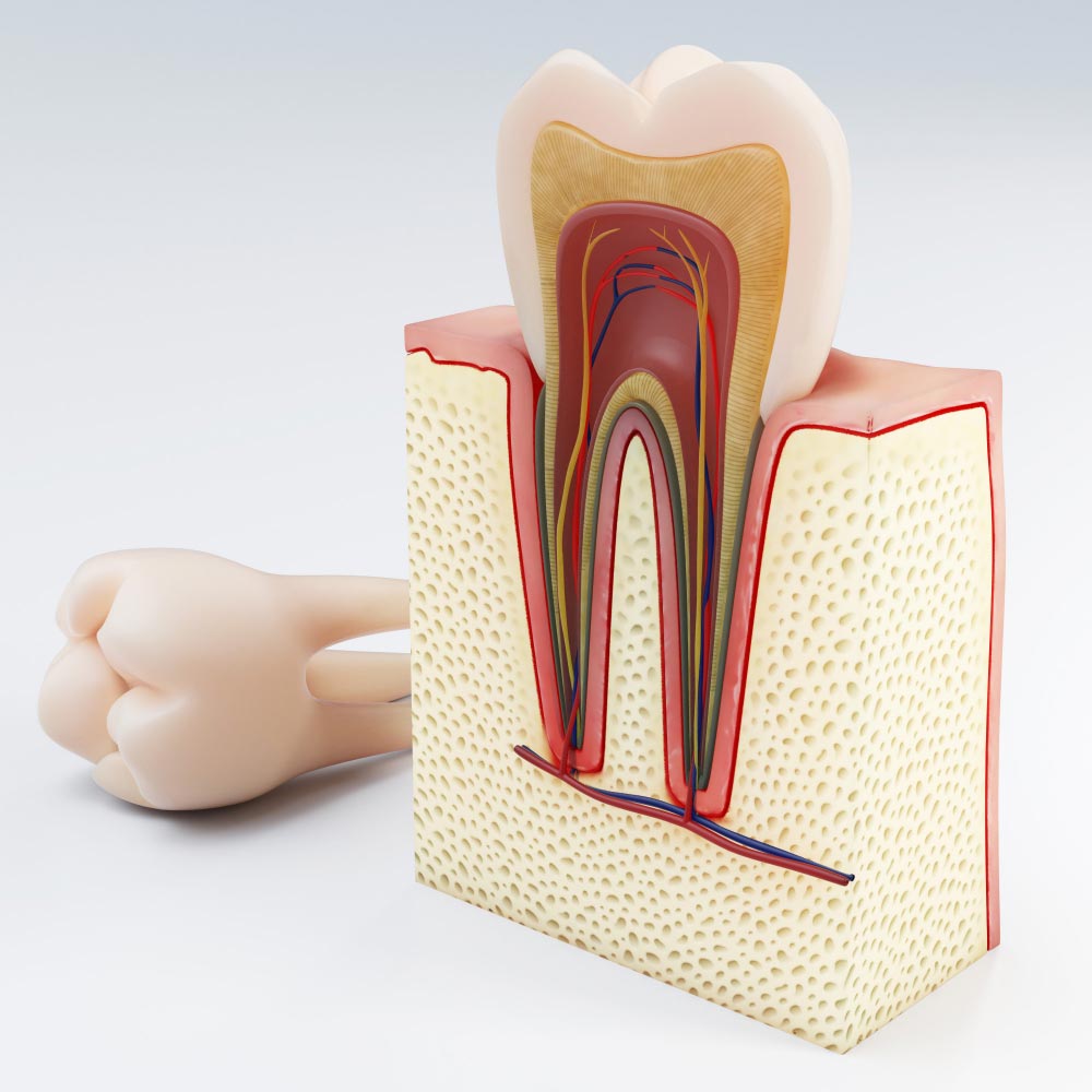 best-root-canal-treatment